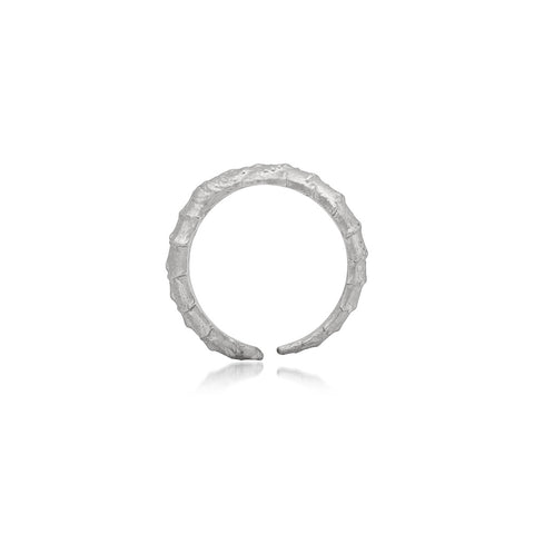 SPINE RING | SMALL
