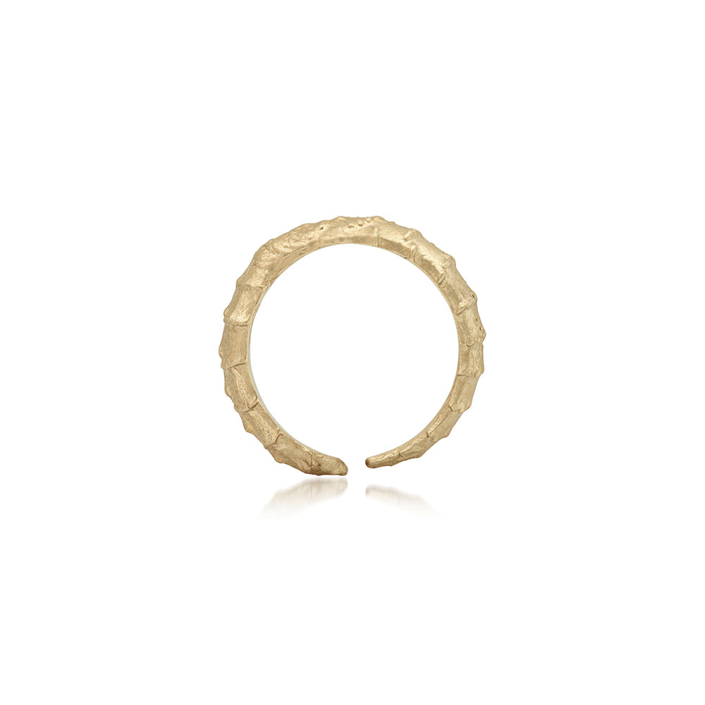 SPINE RING | SMALL