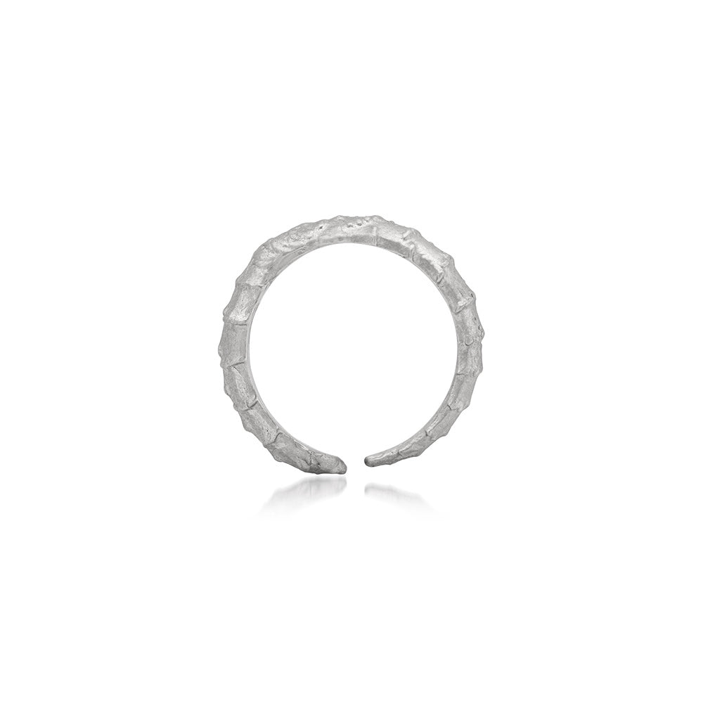 SPINE RING | SMALL